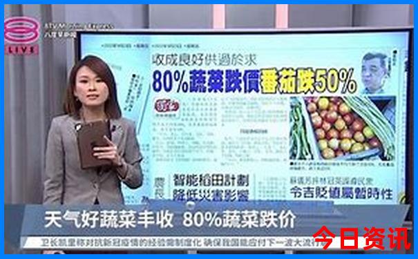 暑假带儿子去哪里旅游好玩