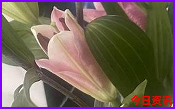 哪个季节去云南玩最合适