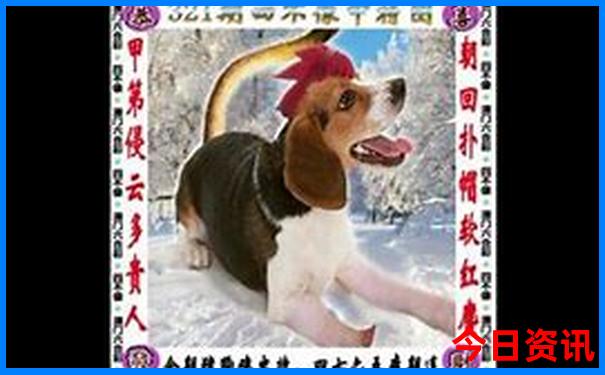 全国出名的旅游景点有哪些
